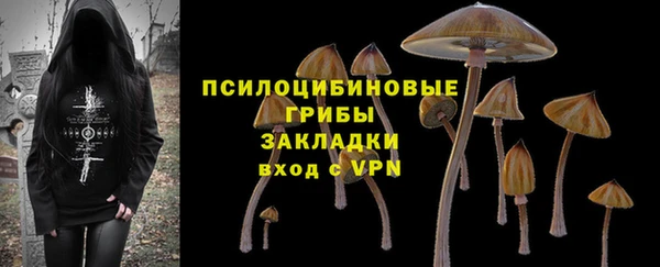 спиды Алзамай